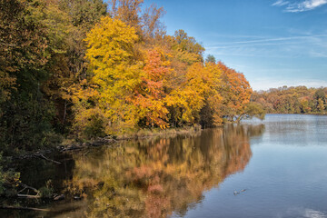 autumn trees reflected in water