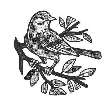bird on a tree branch sketch halftone pattern raster illustration. Scratch board imitation. Black and white hand drawn image.
