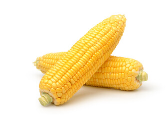 Fresh corn isolated on white background. Clipping path.