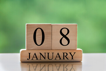 January 8 calendar date text on wooden blocks with blurred background park. Copy space and calendar concept