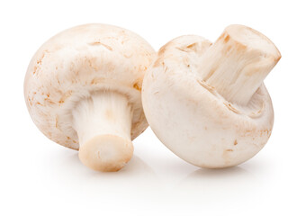 Two champignon mushrooms isolated on white background