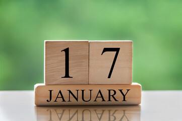 January 17 calendar date text on wooden blocks with blurred background park. Copy space and...