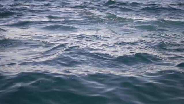 El mar Mediterr&aacute;neo movi&eacute;ndose al comp&aacute;s
