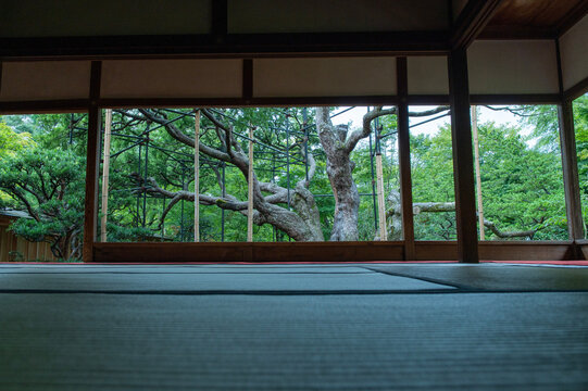 宝泉院