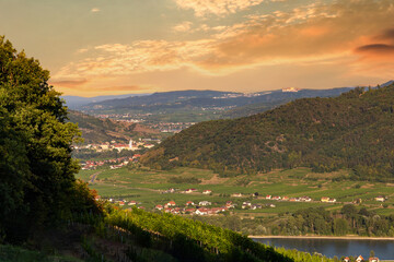 Picturesque landscape with vineyards in Wachau valley. Krems region. Lower Austria