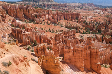 Le parc national Bryce cayon avec ses immenses amphithéâtres naturels parsemés de nombreux...