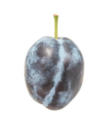 Plum isolated on white background with clipping path
