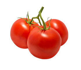 Tomato isolated on white background with clipping path