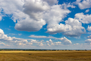 Beautiful view of the summer fields. Rural landscape.