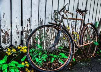 Fototapeta na wymiar Rusted bicycle