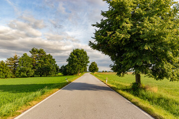 Road in the countryside. Summer day. South Czech Republic.