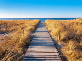 Fototapeta premium Bohlenweg durch die Dünen zum Strand der Ostsee im Abendlicht im Winter