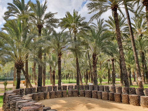 Vega Baja del Segura - Orihuela - El Palmeral y su entorno
