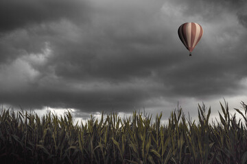 Obraz premium Hot air balloon flying over a corn field