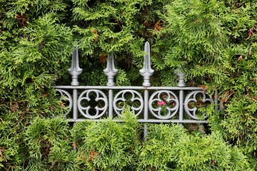 The fence looks out from under bright greenery. A steel fence peeking out from a thicket of bright...
