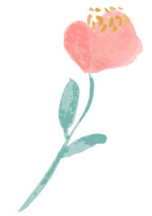 hand-drawn floral.Illustration of pink Floral transparent 