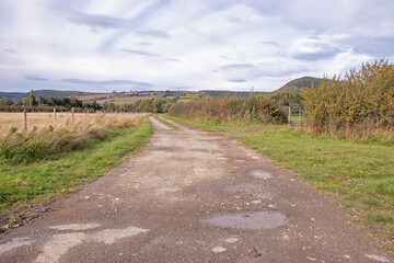 Fototapeta na wymiar Rural countryside in the UK.