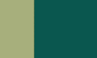 Obraz premium Colorful Abstract design template for backgrounds and your creative graphic design works