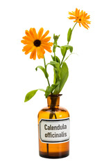 Calendula officinalis flowers in apothecary bottle isolated with transparent background - obrazy, fototapety, plakaty