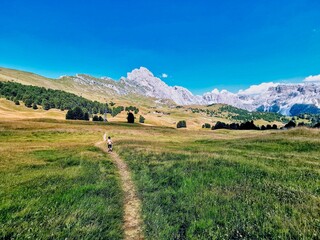 Obraz premium Dolomites mountains Seceda and Langkofel and Seiser Alm