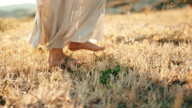 Feet of girl walks in a yellow field in the countryside