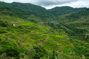 Rice terraces at Maligcong in northern Luzon Island, Philippines.