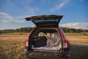 dog sitting in car trunk with luggage. Irish soft coated wheaten terrier.  © FO_DE