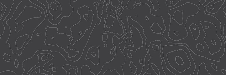 Background of the topographic map. Topographic map lines, contour background. Geographic abstract grid. Stripes landscape descripting data maps. - obrazy, fototapety, plakaty