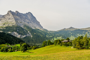 Grindelwald, Eiger, Eigernordwand, Alpen, Berner Oberland, Finsteraarhorn, Fiescherhörner, Grindelwaldgletscher, Kleine Scheidegg, Wanderweg, Bergdorf, Sommer, Schweiz