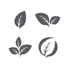 Set of Green mint leaves ecology nature element vector icon, Leaf Icon pack, mint leaves logo vector illustration
