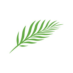 palm Leave logo design. Palm leaf Silhouette. Palm leave pictogram. Vector illustration