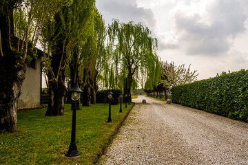 Fototapeta premium Landscape of a road with trees and a cloudy day at Meolo town, Veneto, Italy