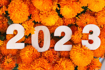 New Year 2023. Wooden numbers 2023 and flowers