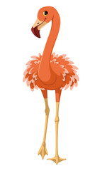 Exotic bird greater flamingo vector cartoon illustration