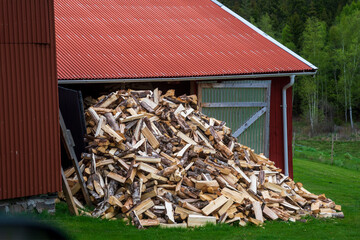 a huge pile of harvested wood for heating the house, preparing for the cold season