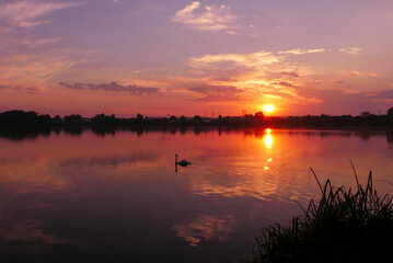 Sunlight over the water of a lake. Dramatic sky with silhouette of water bird. Sunrise on a lake and swan.