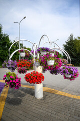 Fototapeta na wymiar hanging planter with colorful petunias in wooden pots in a city park
