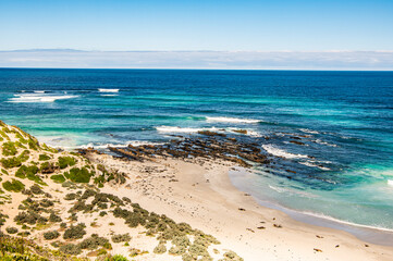 Seal Bay Kangaroo Island is a beautiful and popular South Australian tourist destination