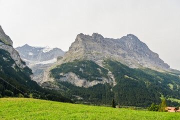 Obraz premium Grindelwald, Dorf, Eiger, Eigernordwand, unterer Grindelwaldgletscher, Schreckhorn, Alpen, Schweizer Berge, Bergwiesen, Wanderweg, Sommer, Schweiz