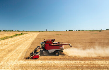 Obraz premium Combine harvester in action on wheat field.