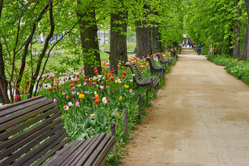 Benches along the alley among the bright flowers in the botanical garden. People are walking in the park.