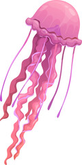 Obraz na płótnie Canvas Cartoon jellyfish underwater animal, vector medusa