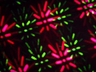 Unfocused Christmas holiday red and green lights on a black background