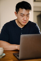 Adult calm asian man working with laptop at home
