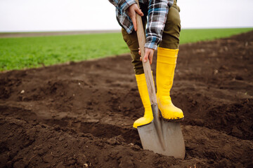 Female Worker wearing yellow boots digs soil with shovel in the vegetable garden. Agriculture,...