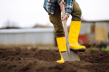 Female Worker wearing yellow boots digs soil with shovel in the vegetable garden. Agriculture,...