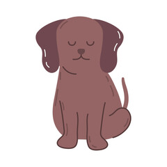 brown dog animal