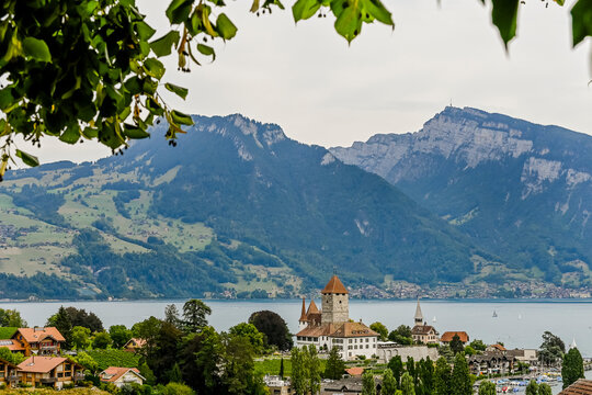 Spiez, Schloss Spiez, Schlosskirche, Stadt, Seeufer, Boote, Hafen, Thunersee, Schifffahrt, Seerundfahrt, Weinberge, Beatenberg, Niederhorn, Aussichtspunkt, Sommer, Schweiz