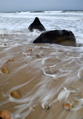 Shark's Tooth - Rocky Coastline in Martha's Vineyard