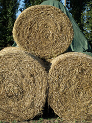 Close-up of straw bales on a sunny day